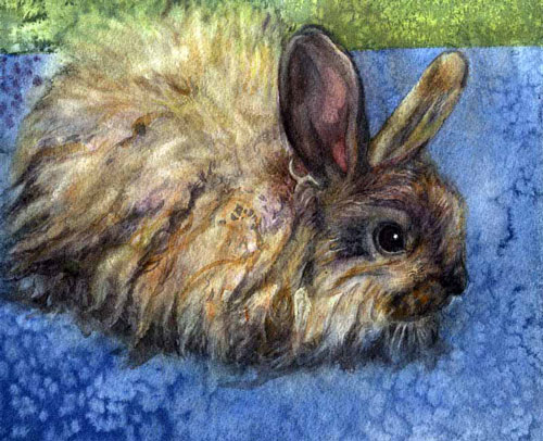 Chesterton, Satin Angora