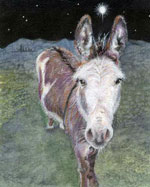 Christmas Donkey